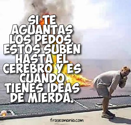 Imagenes Con Frases Graciosas | Holidays OO